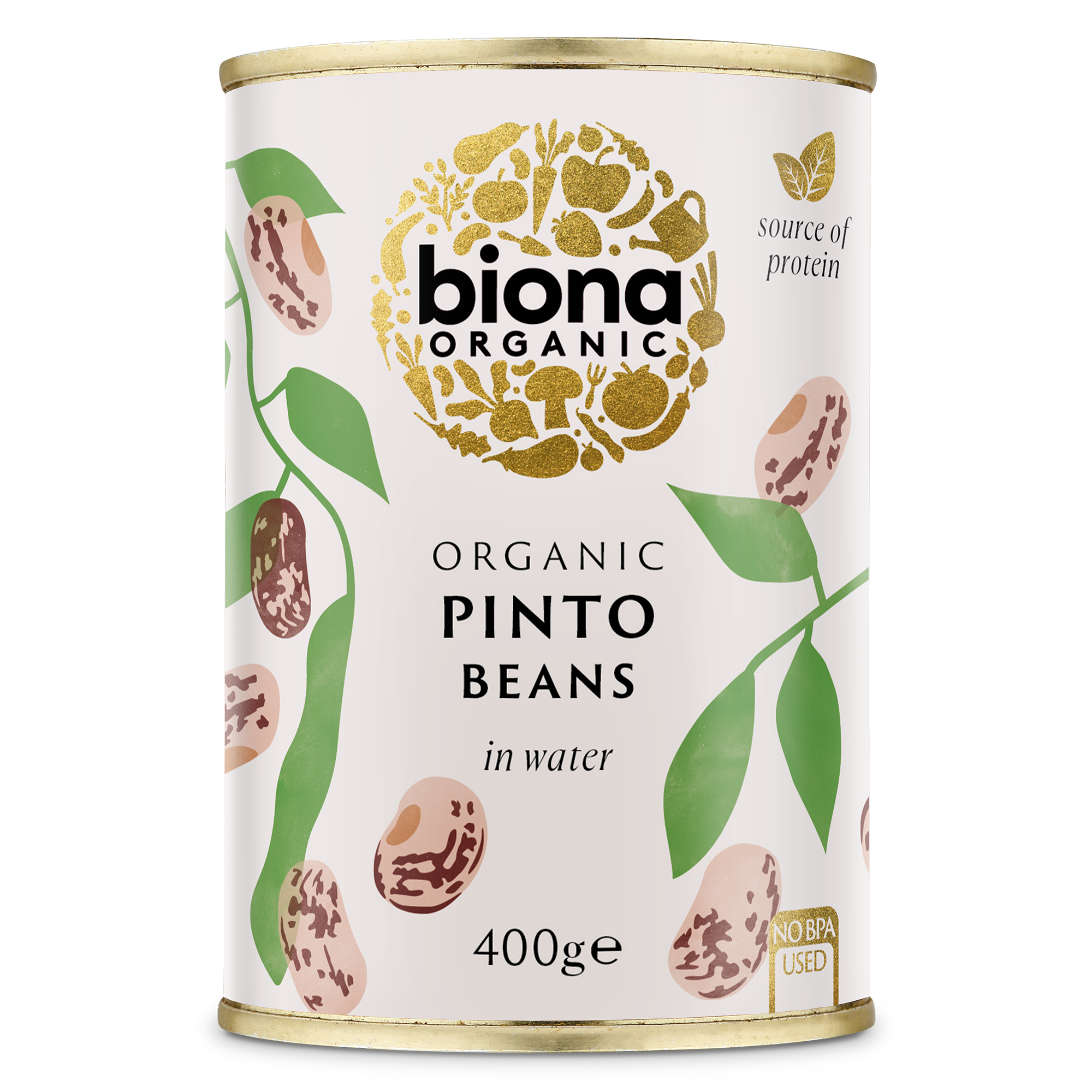 Organic Pinto Beans - 400g - Biona