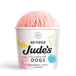 Ice Cream for Dogs