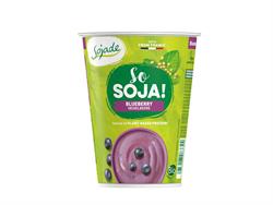 Org Blueberry Soya Yogurt