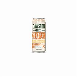 Sparkling Ginger Beer Can