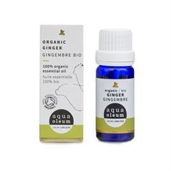 Organic Ginger Oil