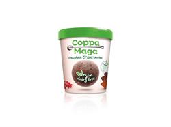 Vegan Chocolate & Goji