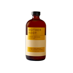 Ginger Non-Alcoholic Aperitif