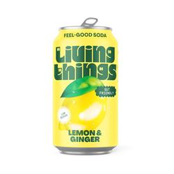 Lemon & Ginger Soda