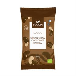 Chocolate Coated Cashew