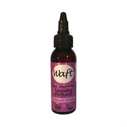 Laundry Perfume Tropical