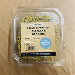 Org Sprouted Alfalfa Broccoli