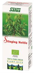 Stinging Nettle Organic Fresh