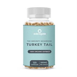 Turkey Tail Mushroom Capsules