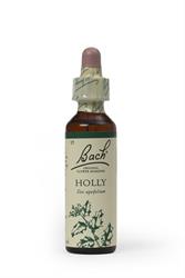 Bach Original Flower Holly