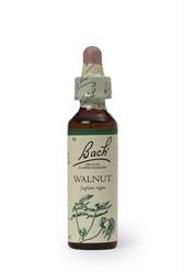 Bach Original Flower Walnut