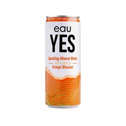 Orange Sparkling Water