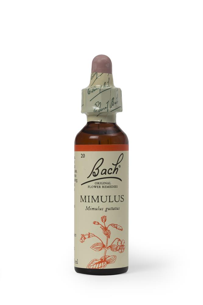 Bach Original Flower Mimulus