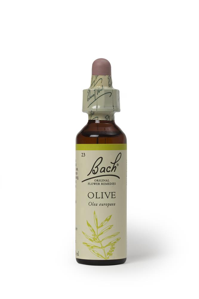 Bach Original Flower Olive