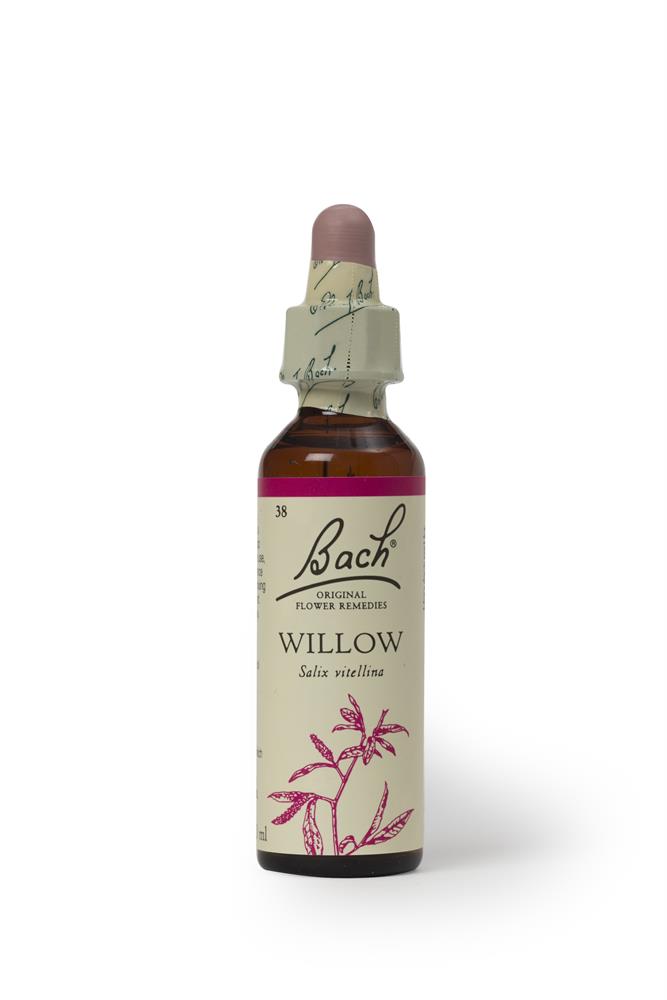 Bach Original Flower Willow