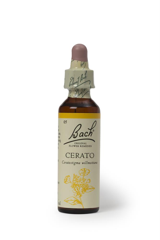 Bach Original Flower Cerato