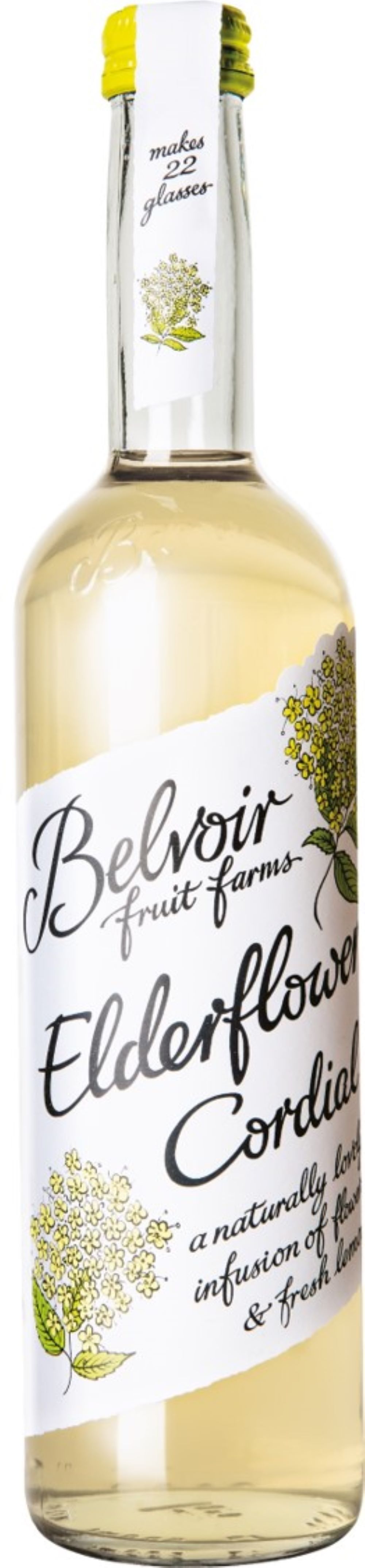 Elderflower Cordial