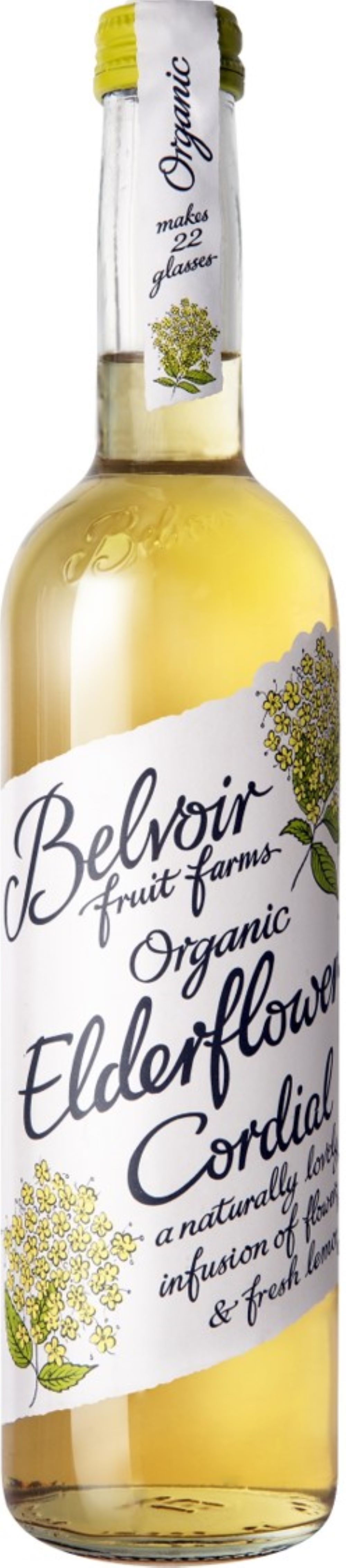 Organic Elderflower Cordial