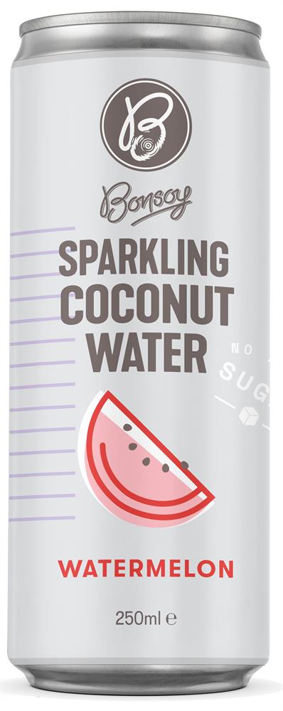 Sparkling Coconut Watermelon