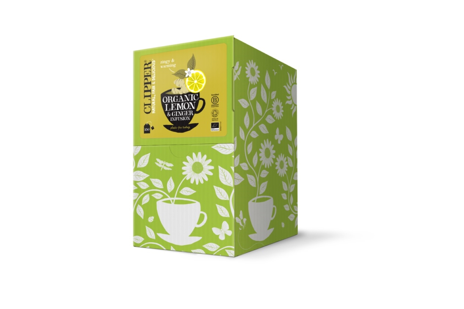 Org Lemon & Ginger Envelopes