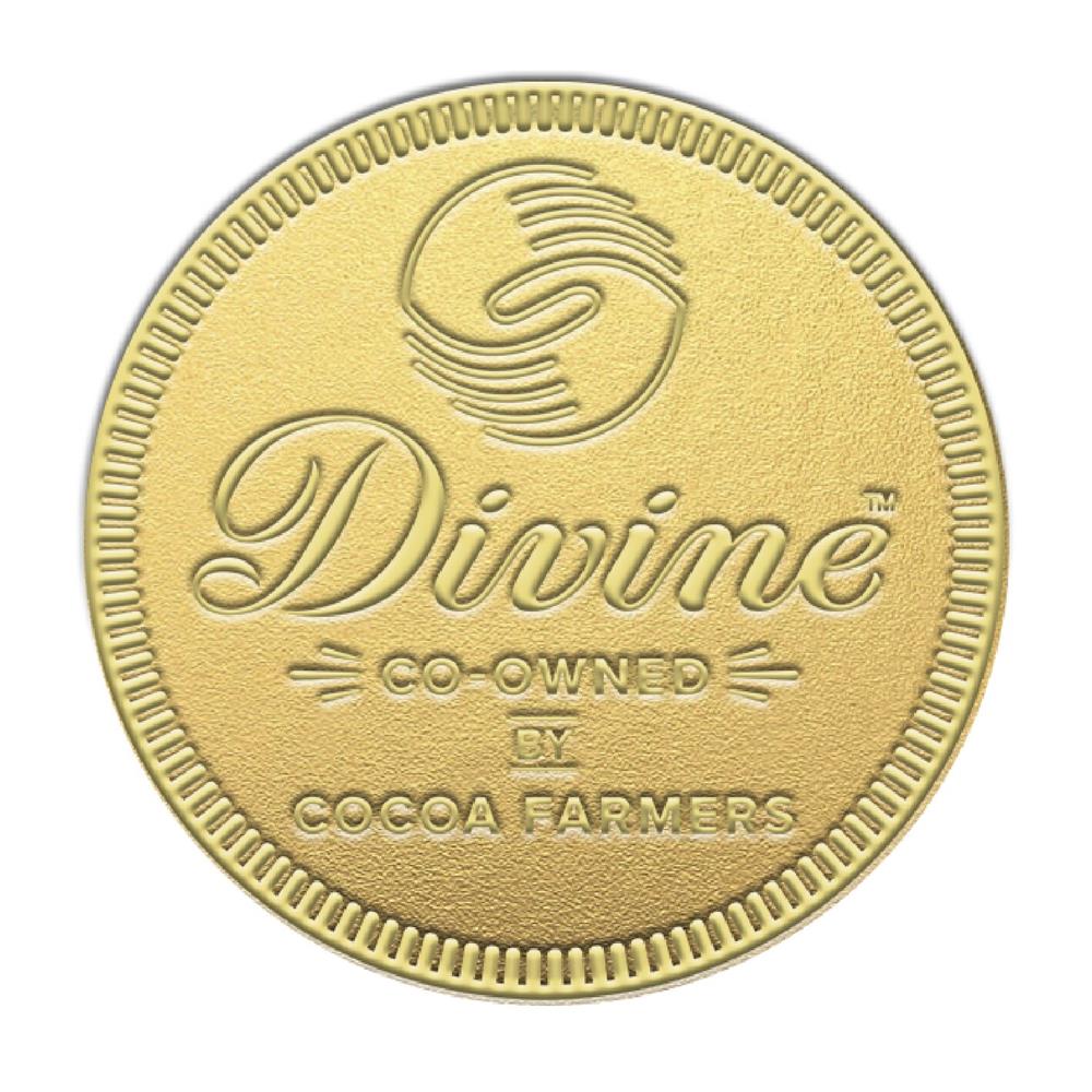 Giant Milk Chocolate Coin