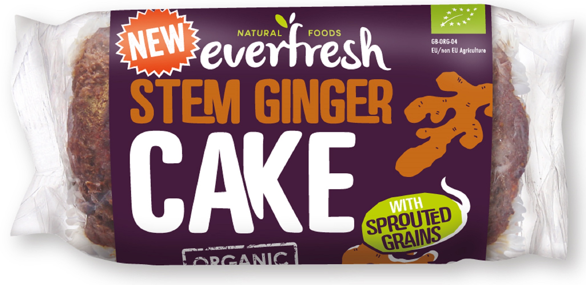 Org Sprouted Ginger Cake