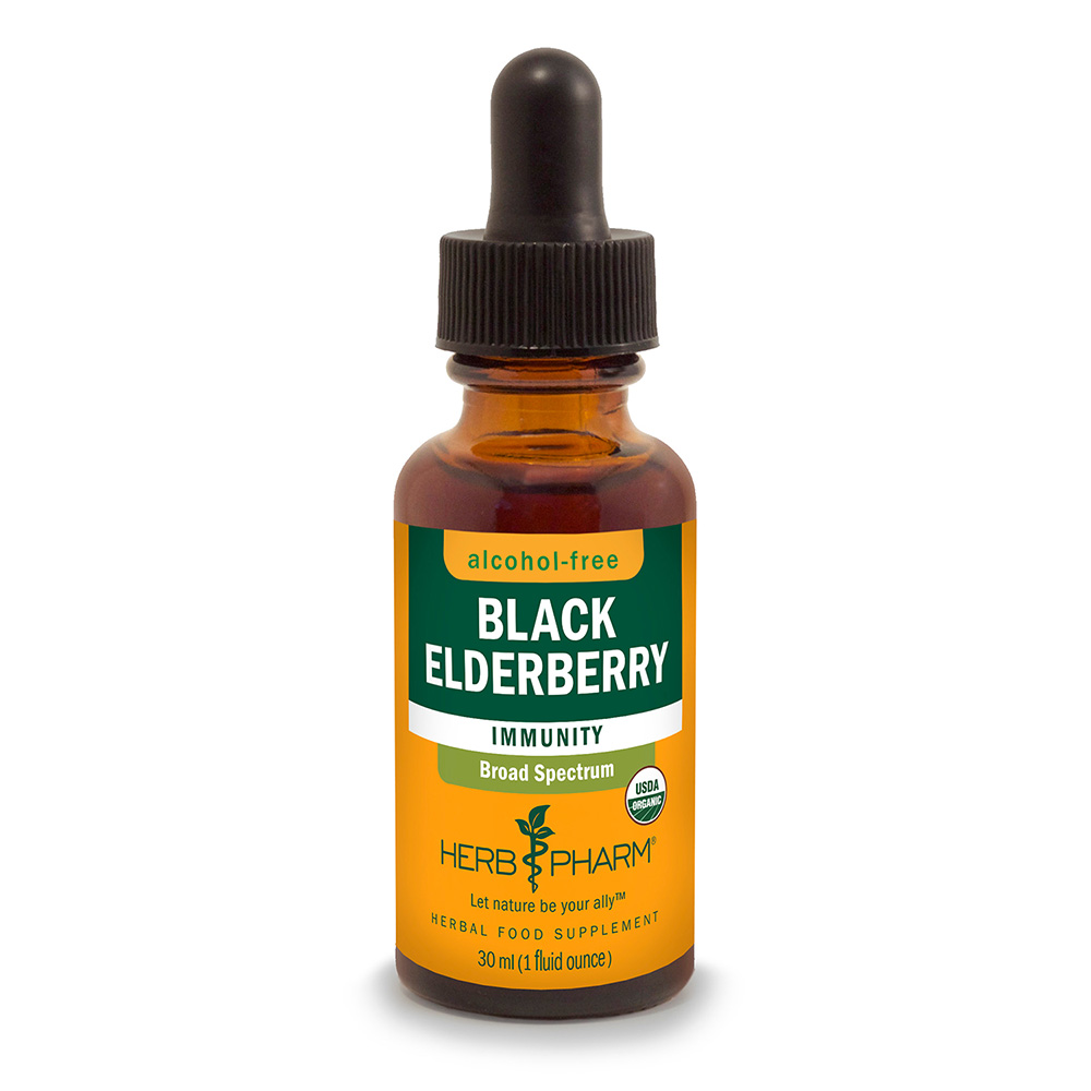 Black Elderberry Alcohol-Free