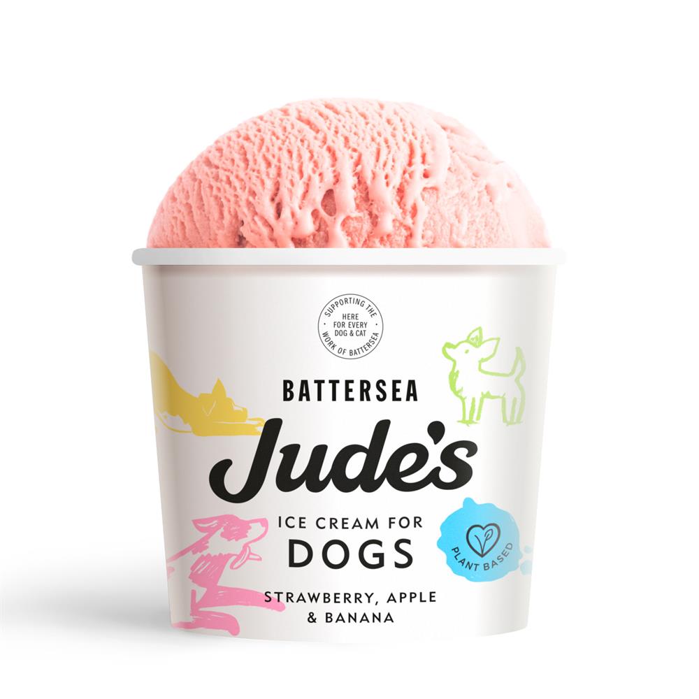 Ice Cream for Dogs