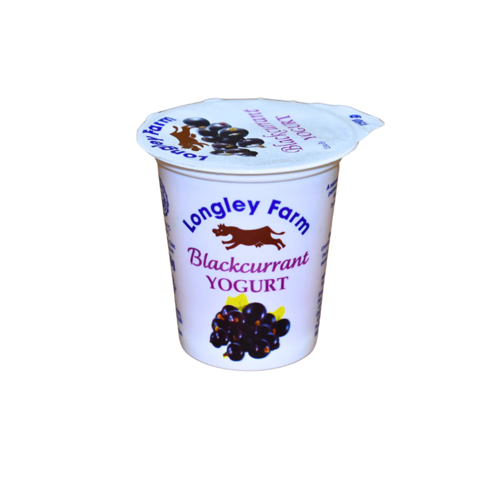 Blackcurrant Live Yogurt