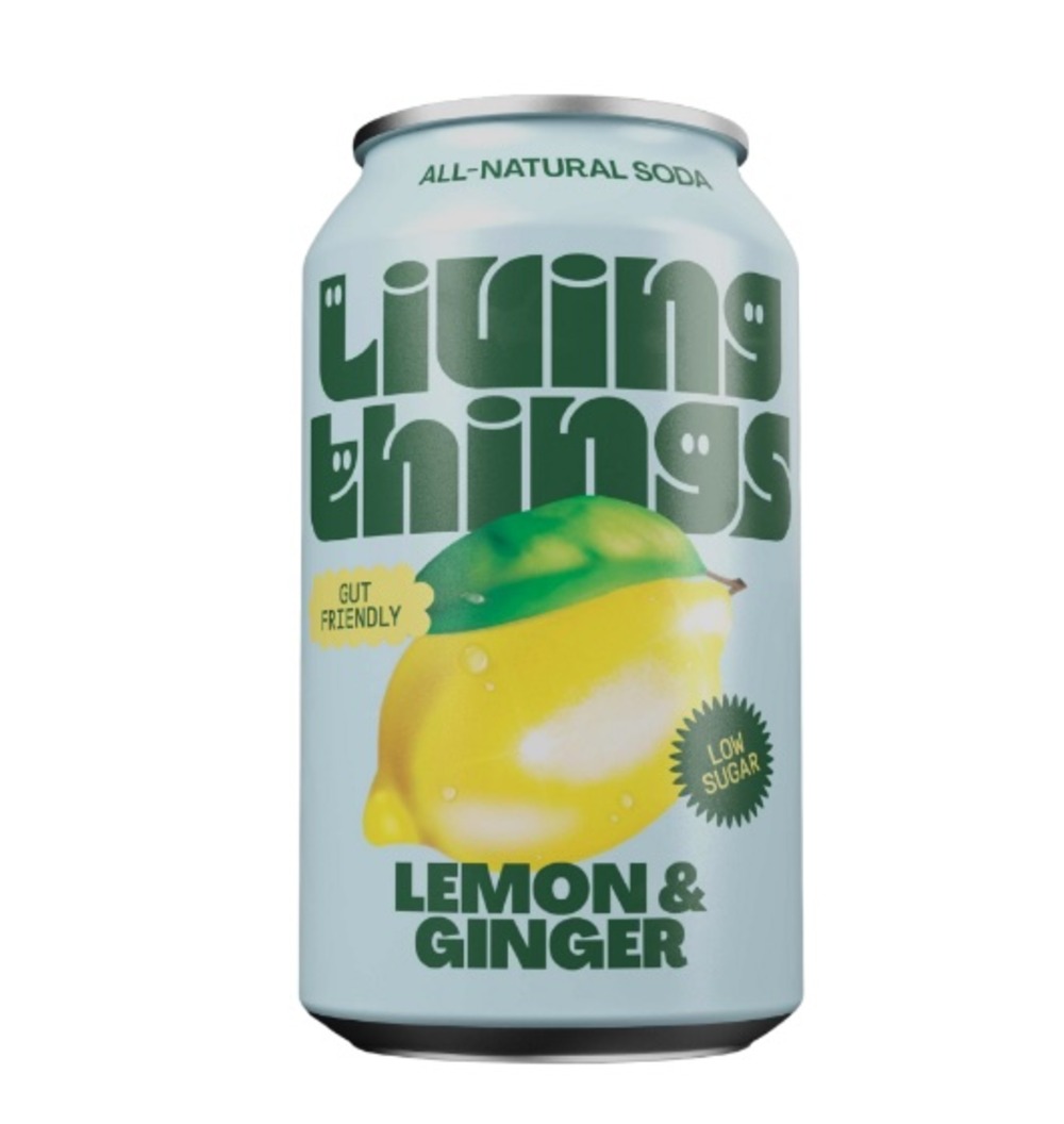 Lemon & Ginger Soda