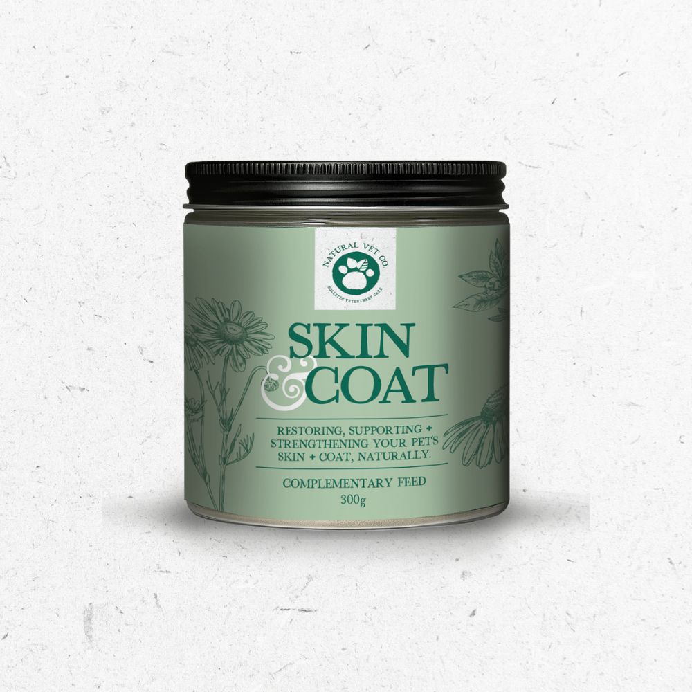 Skin & Coat