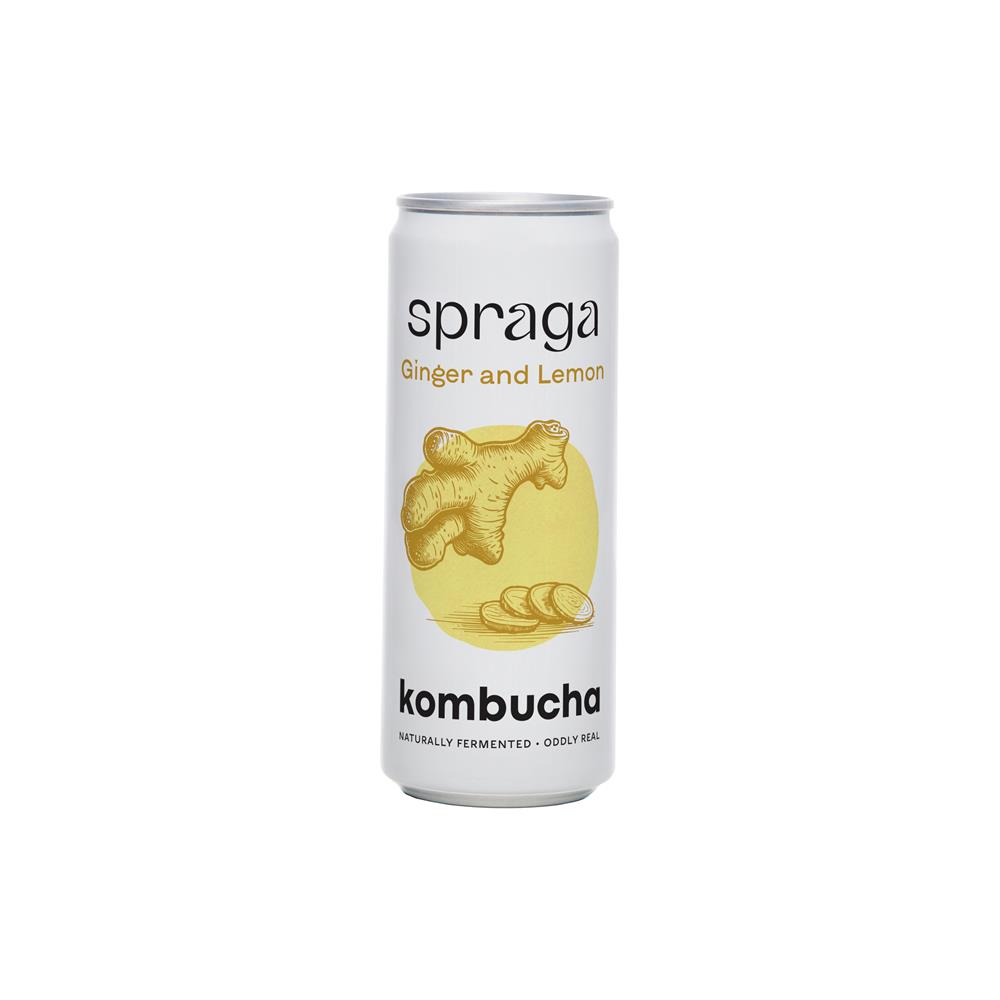 Org Kombucha Lemon & Ginger