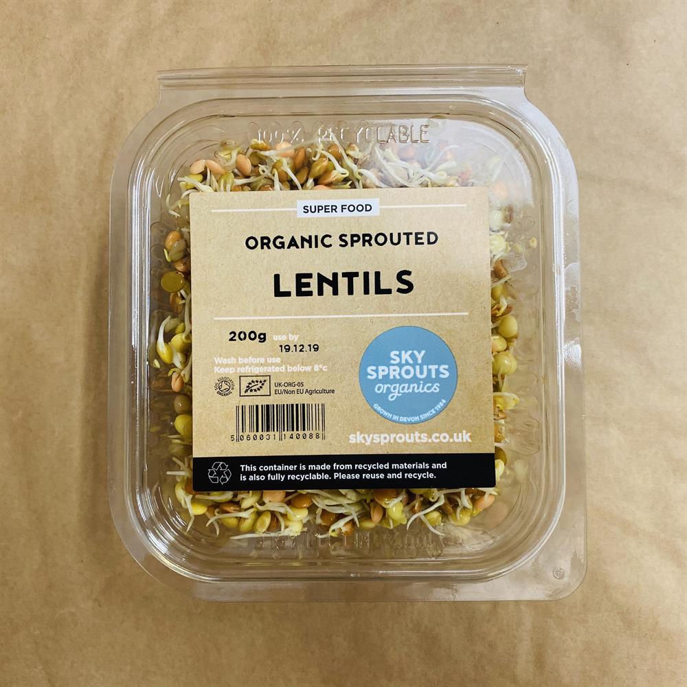Organic Sprouted Lentils