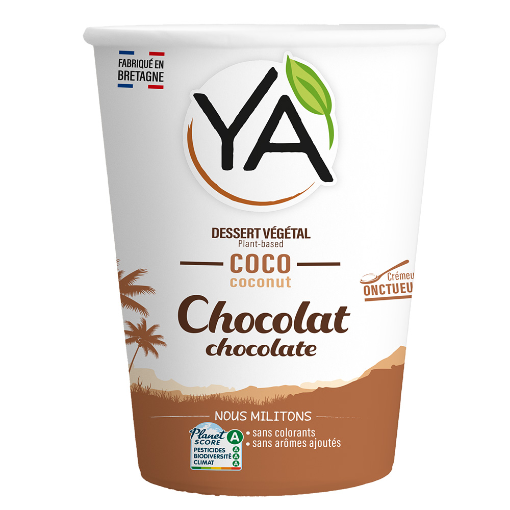 Coconut Chocolate Dessert