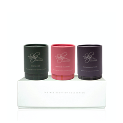 Miniature gift set (3 x can.)