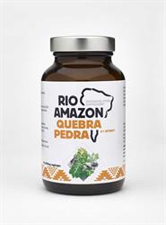 Quebra Pedra 500mg