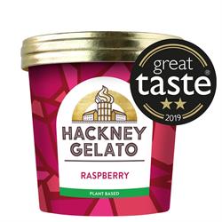Raspberry Sorbetto