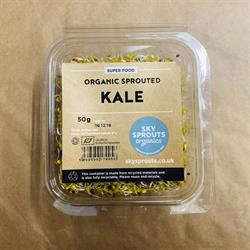Organic Sprouted Kale