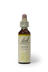 Bach Original Flower Olive