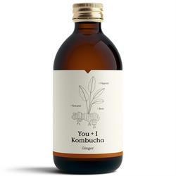 Kombucha - Ginger