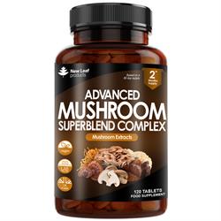 Mushroom Complex