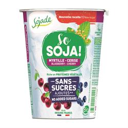Org NAS Blueberry&Cherry Yog