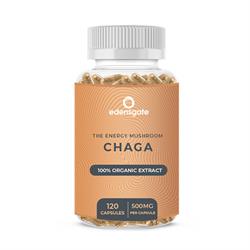 Chaga Mushroom Extract Capsule