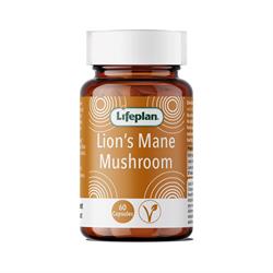 Lions Maine Mushroom