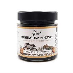 Organic Mushroom Honey