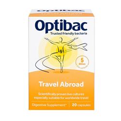 Travel Abroad