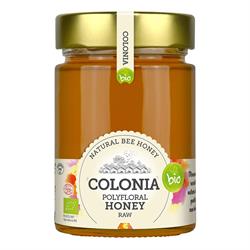 Organic Polifloral Raw Honey
