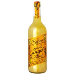Spiced Ginger Punch