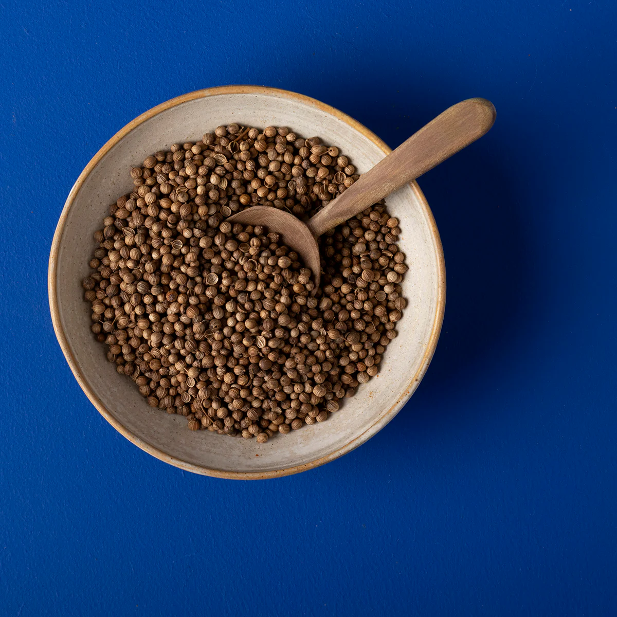 Organic Coriander Seeds - Wild Elephant