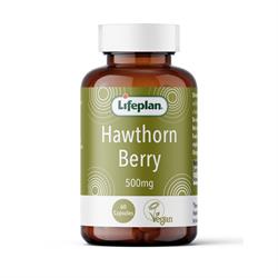 Hawthorn 500mg